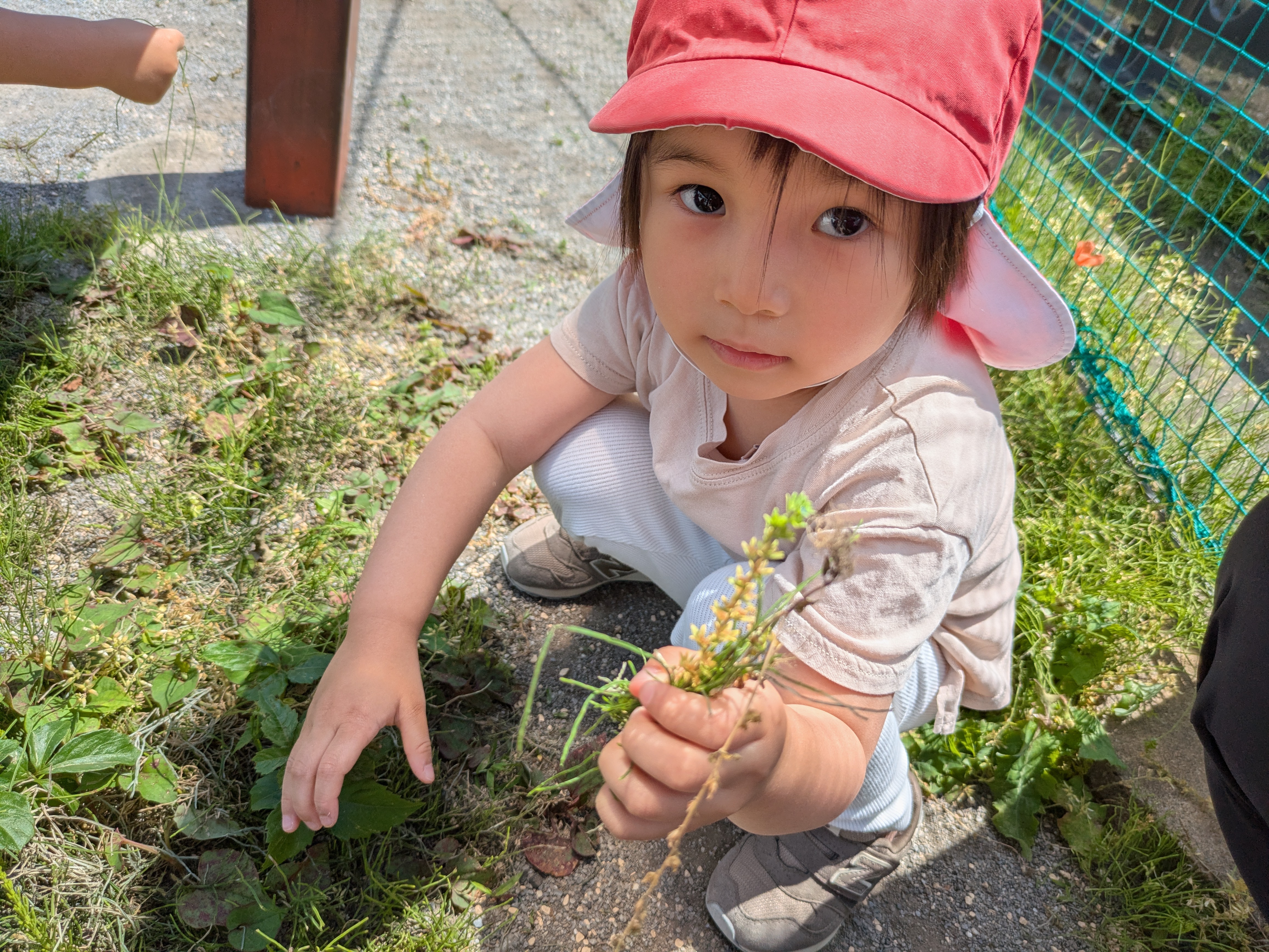 公園だいすきひなた組☀