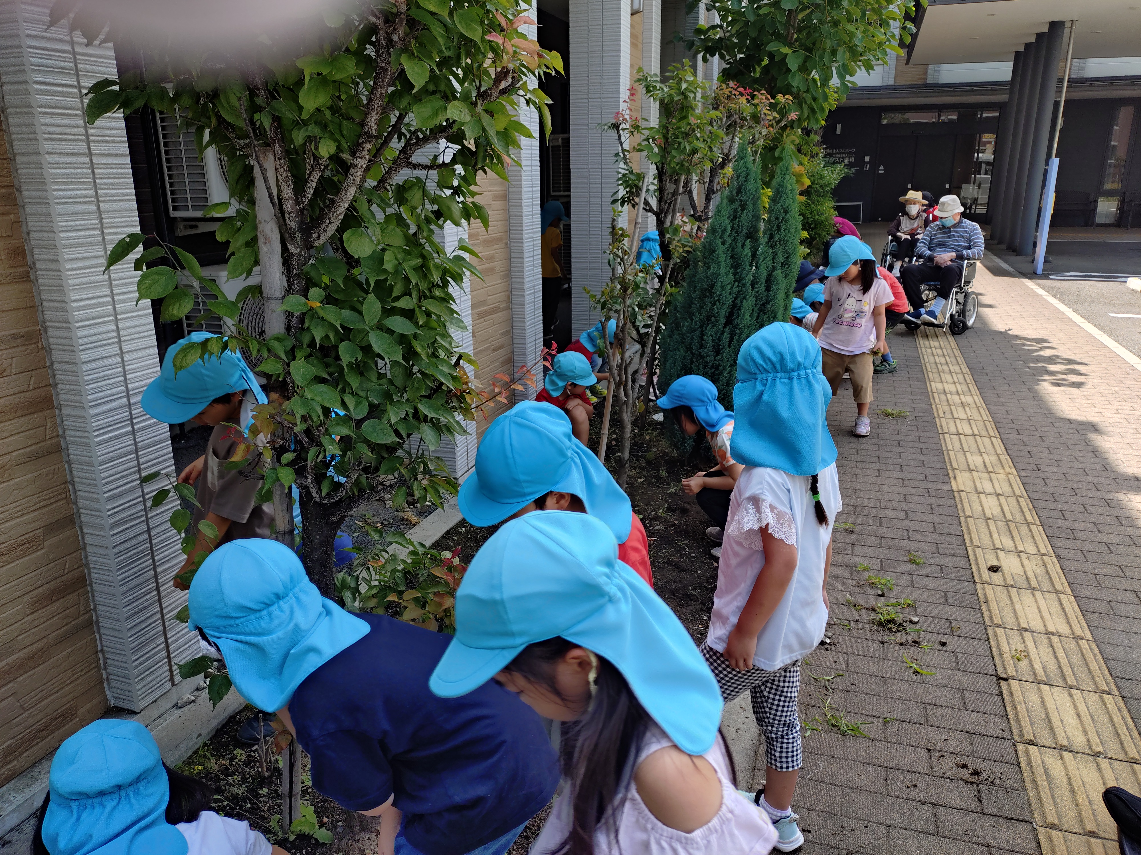 なかよし農園