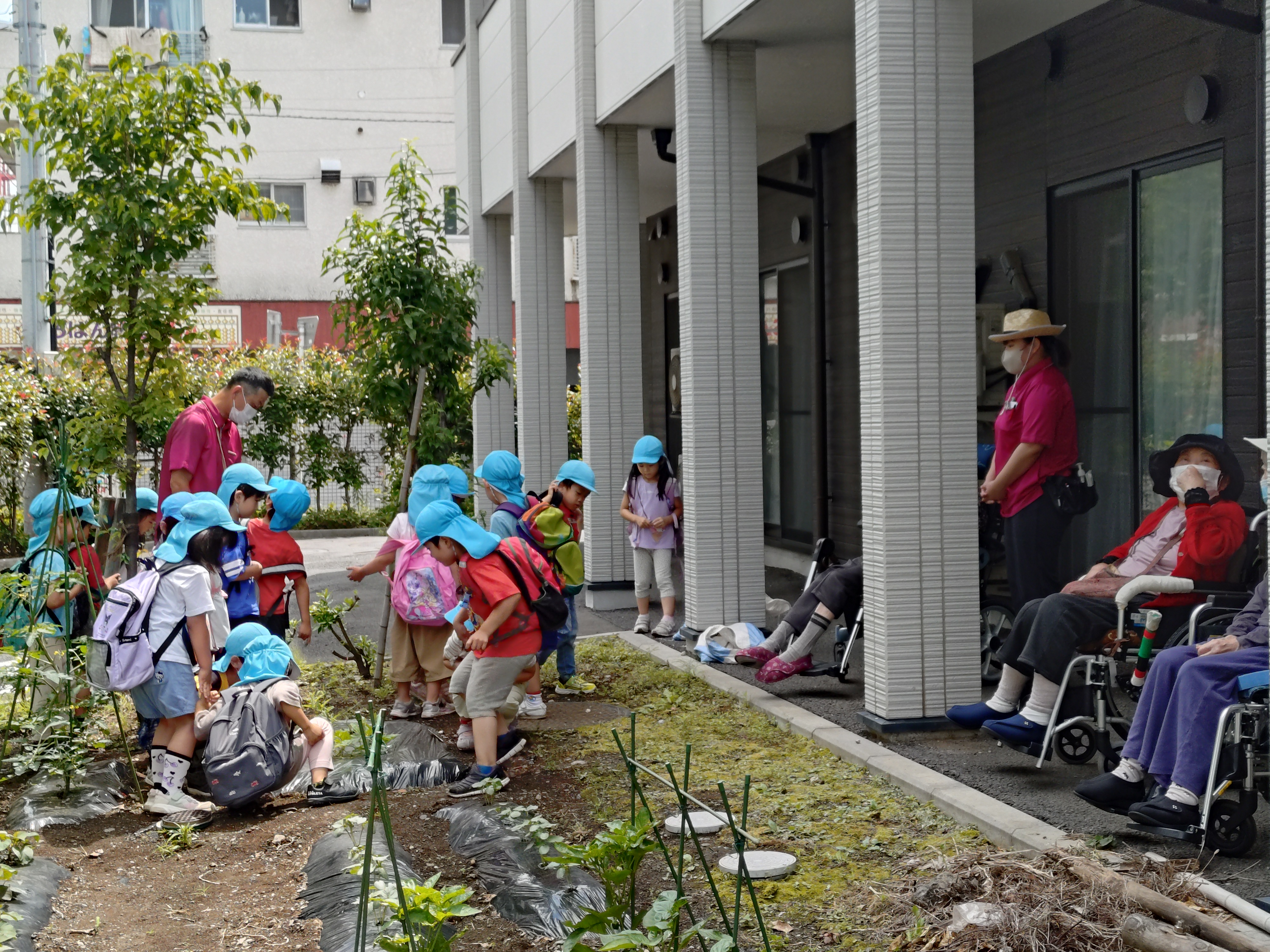 なかよし農園