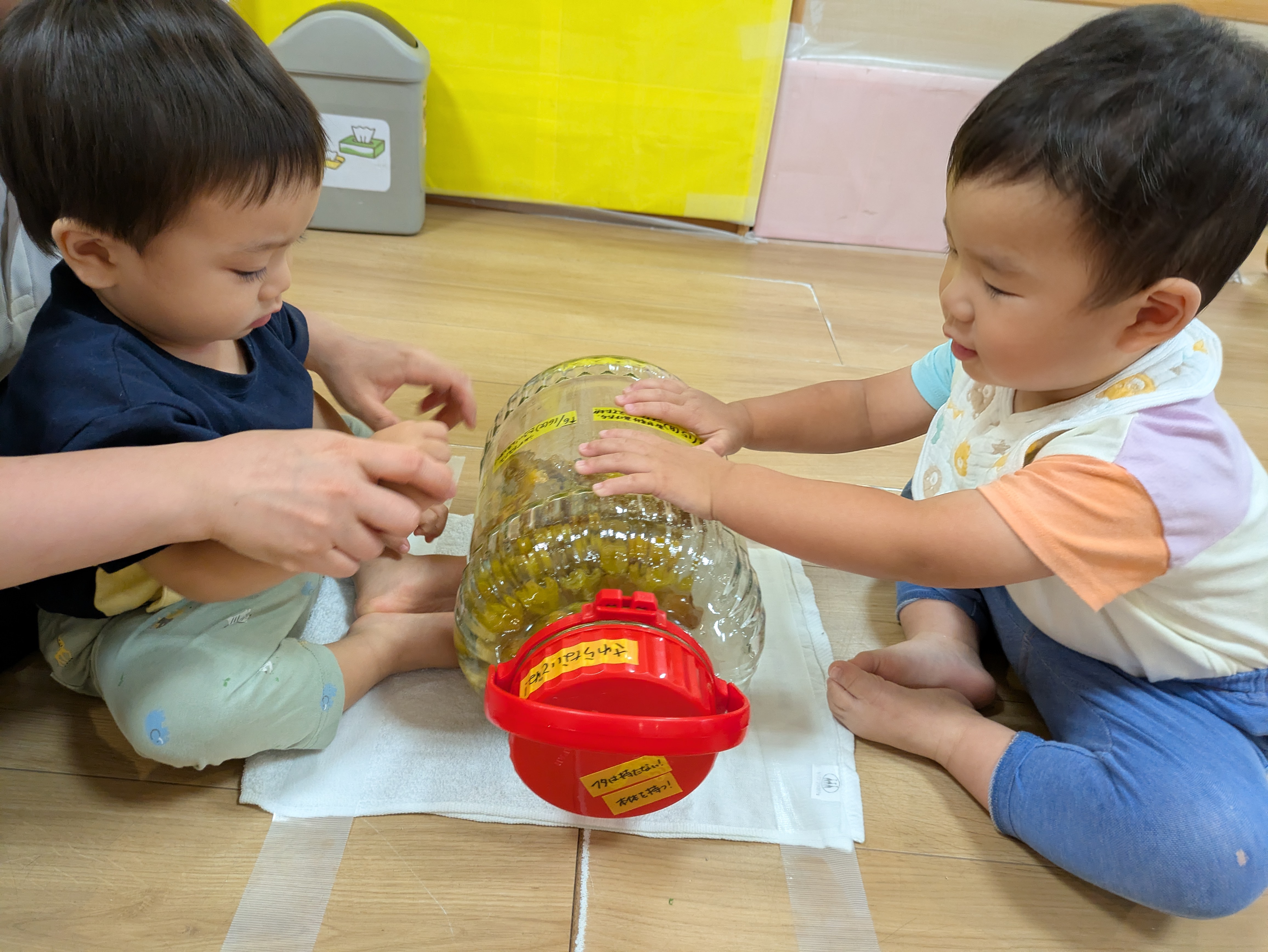 梅ジュースをコロコロ♪（わかば組）