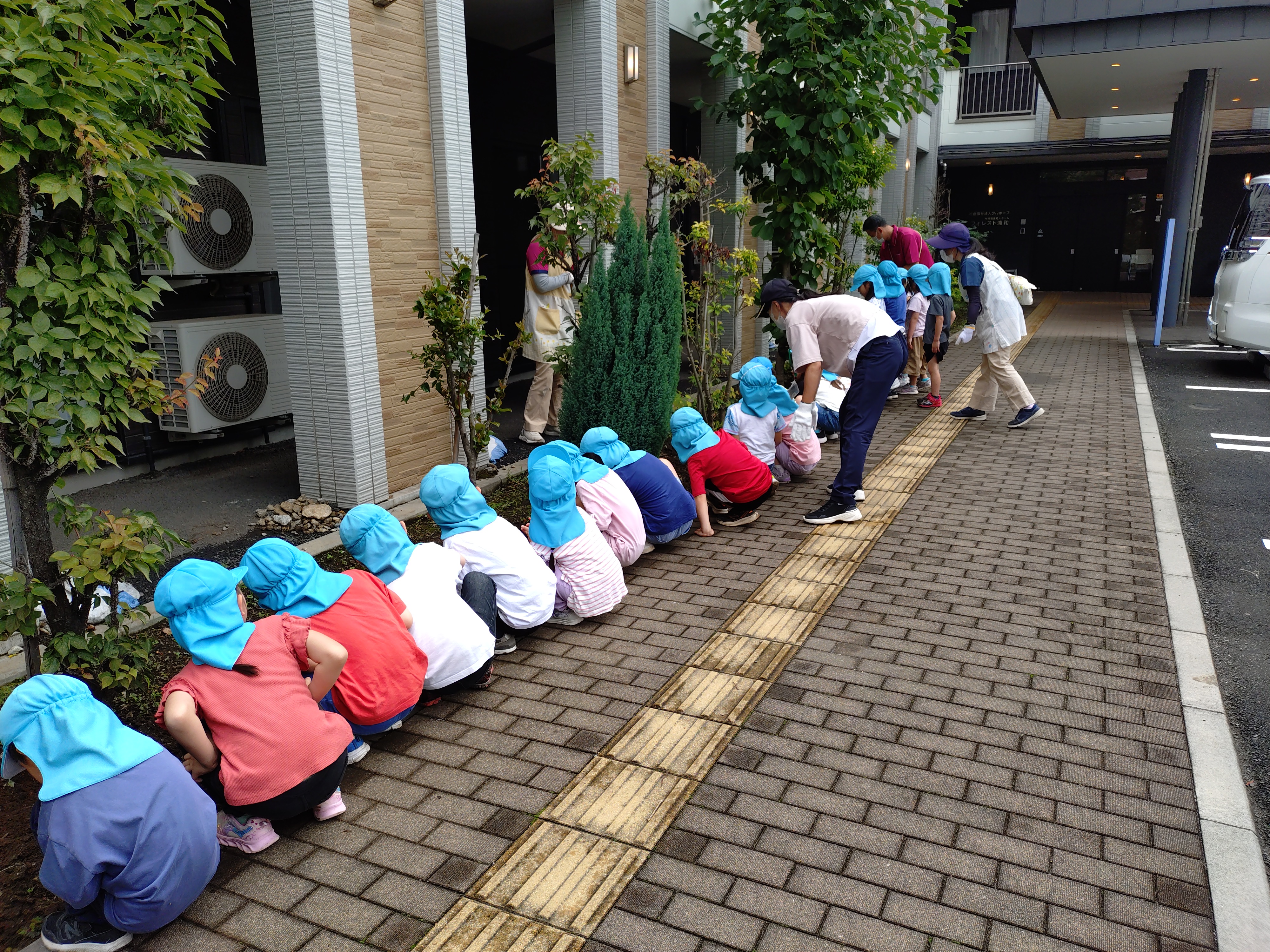 ひまわり種まき