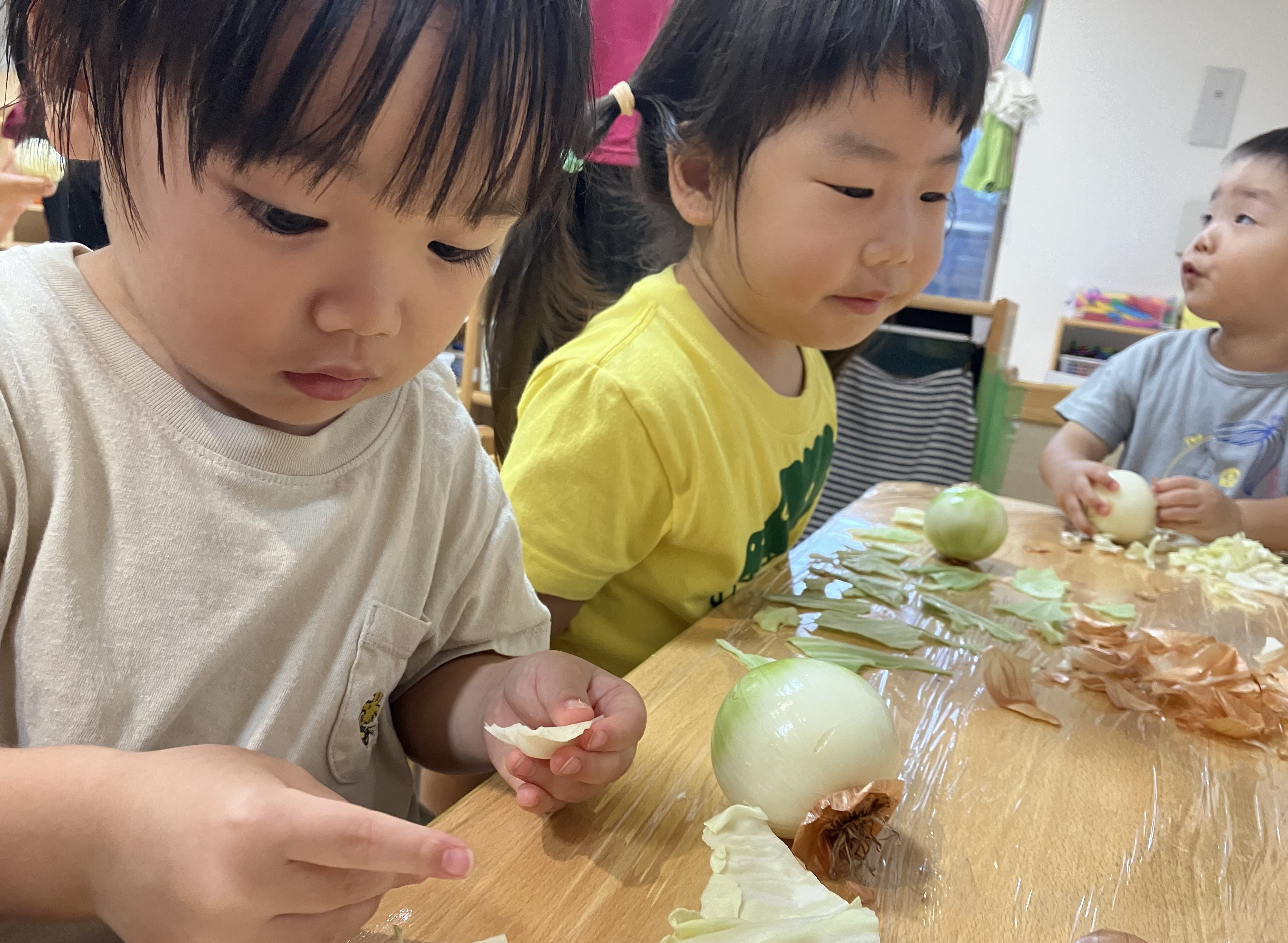 2歳児しずく組　食育「玉ねぎ皮むき/キャベツちぎり」