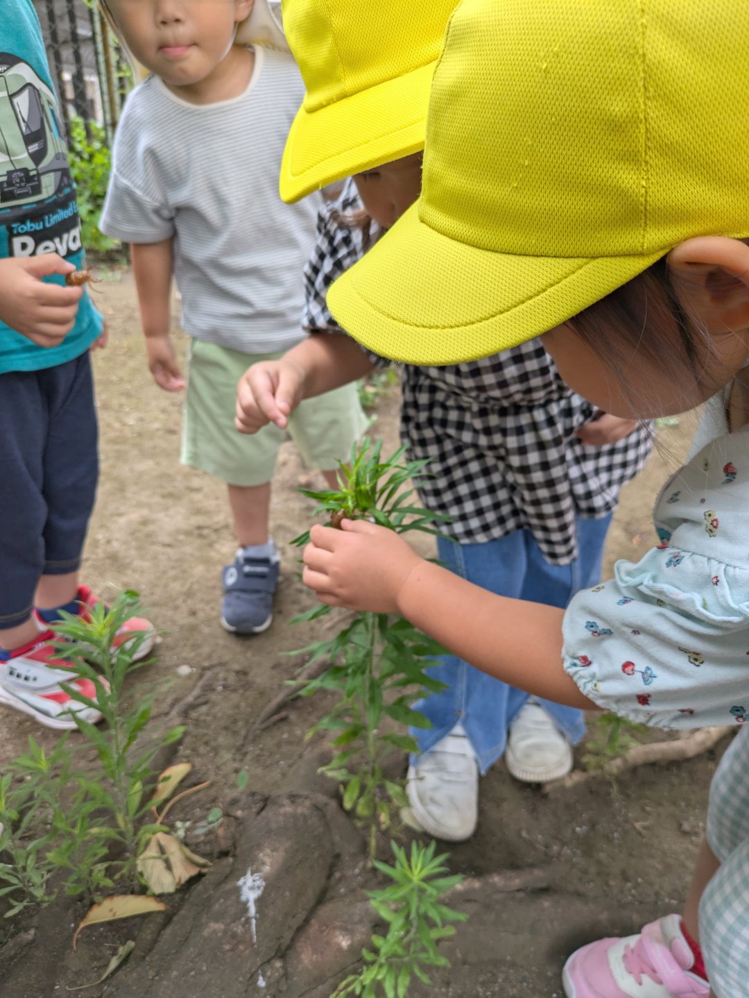 しずく組、久しぶりの公園