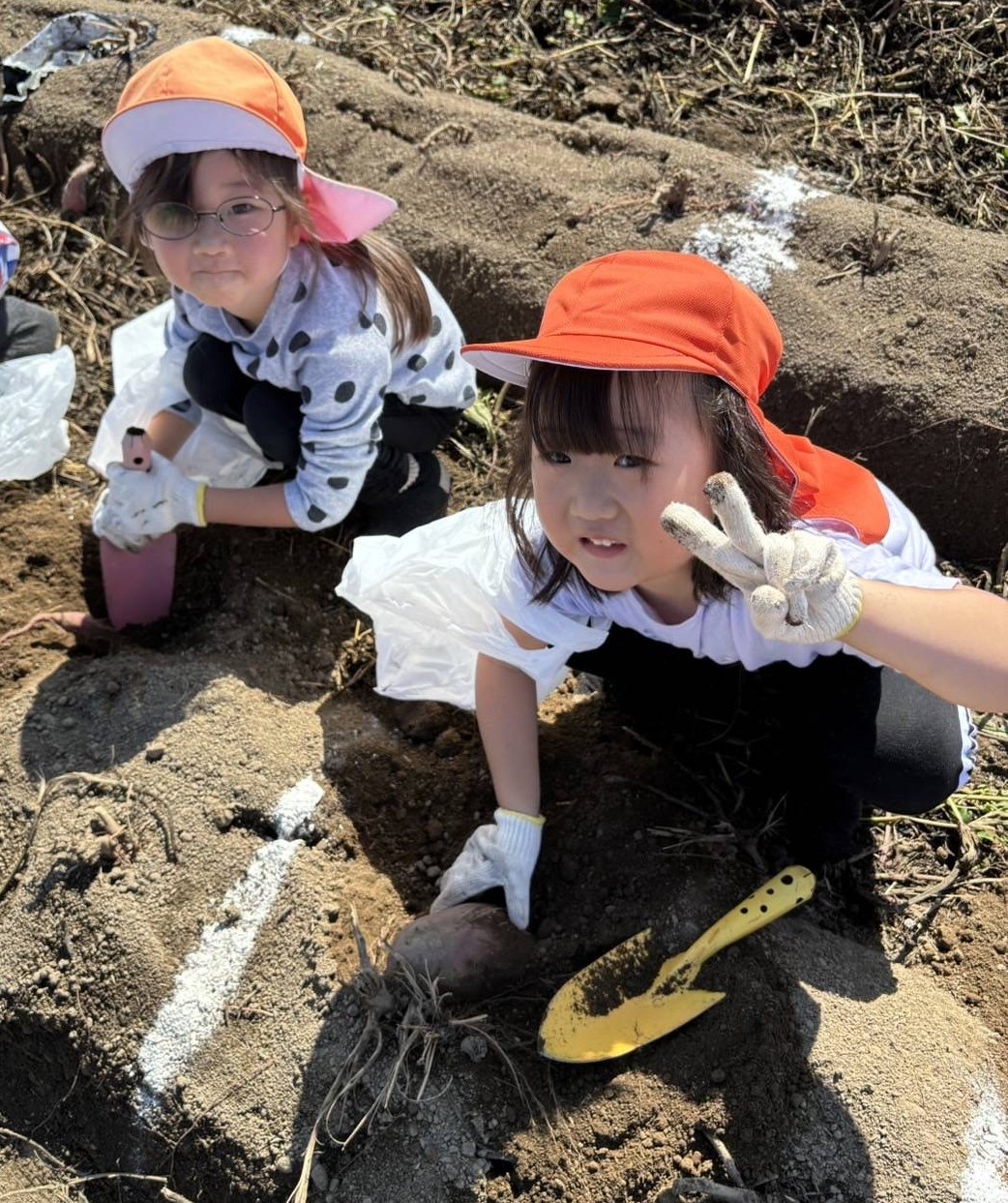 4・5歳　芋ほり遠足