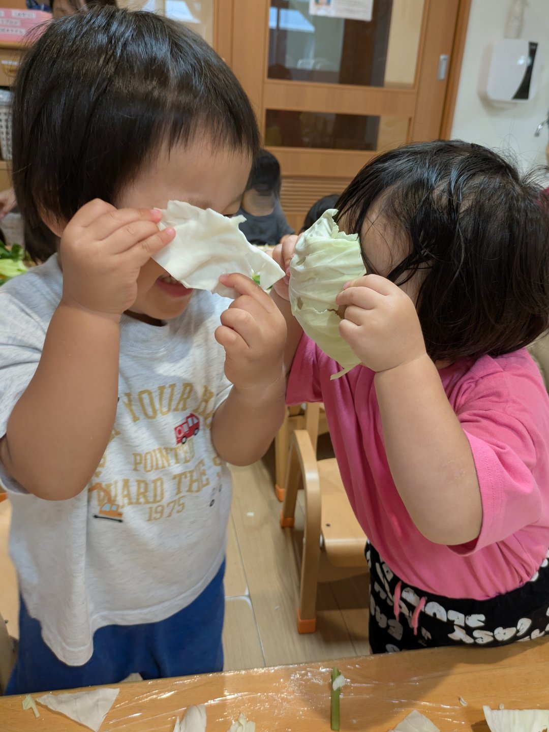わかば組の食育《キャベツと小松菜》