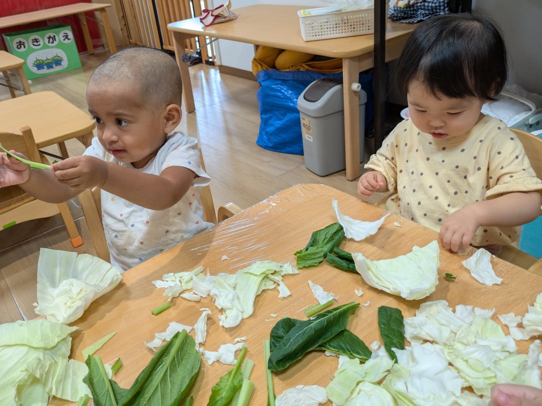 わかば組の食育《キャベツと小松菜》