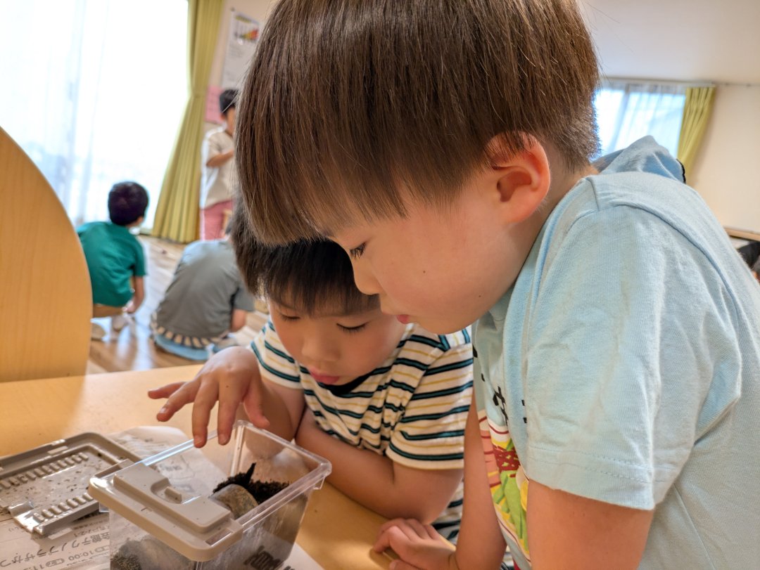 5歳児　だいち組　最近のお気に入りの遊び
