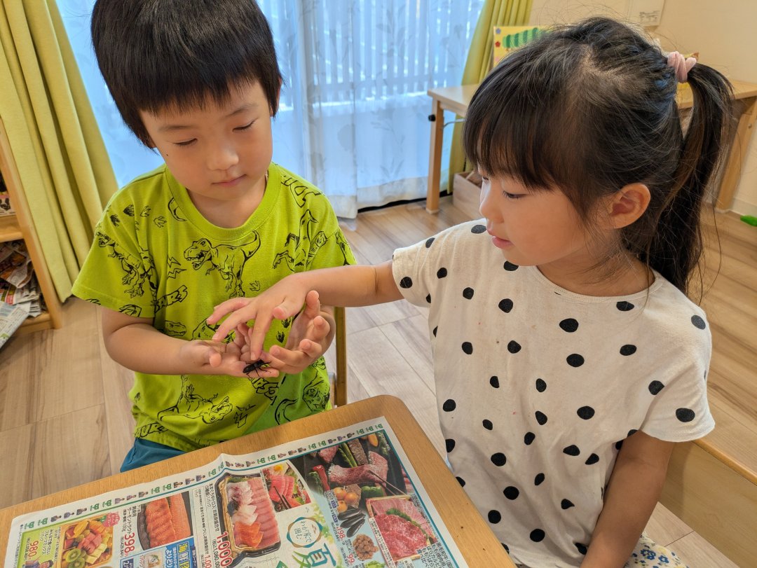 5歳児　だいち組　最近のお気に入りの遊び