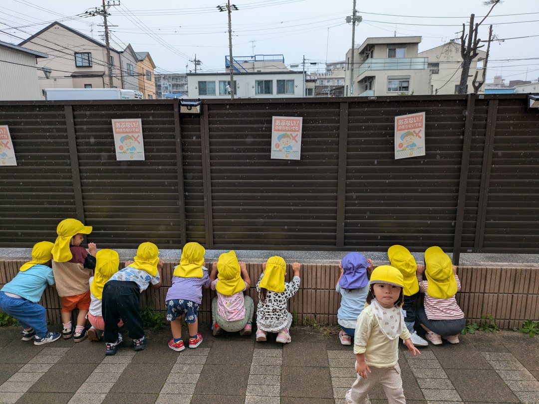 どんぐり大好き！しずく組