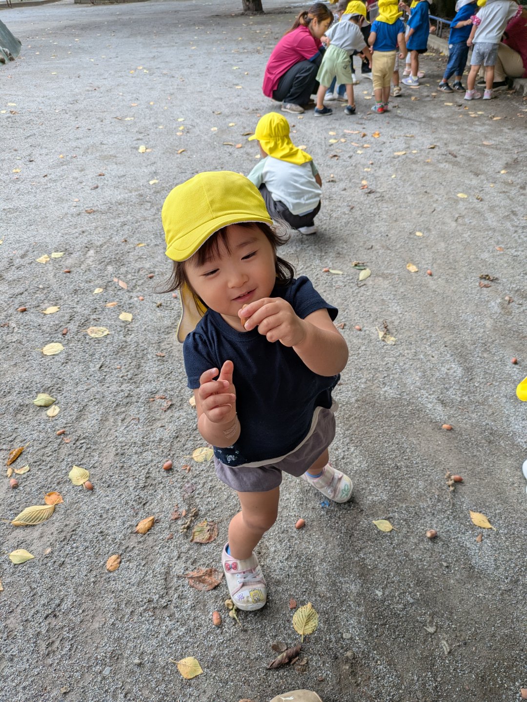 どんぐり大好き！しずく組