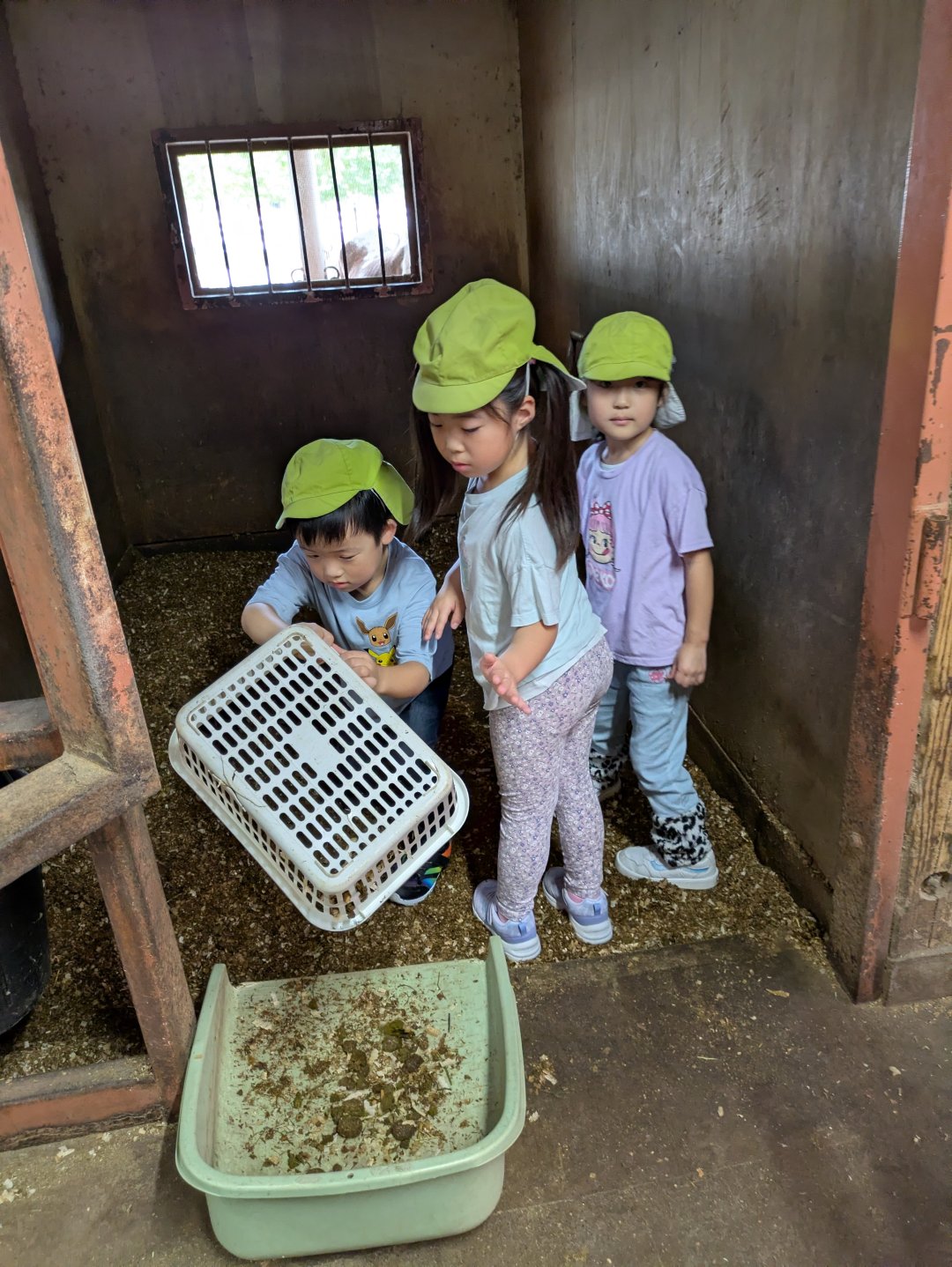 5歳児　だいち組の戸外活動☆