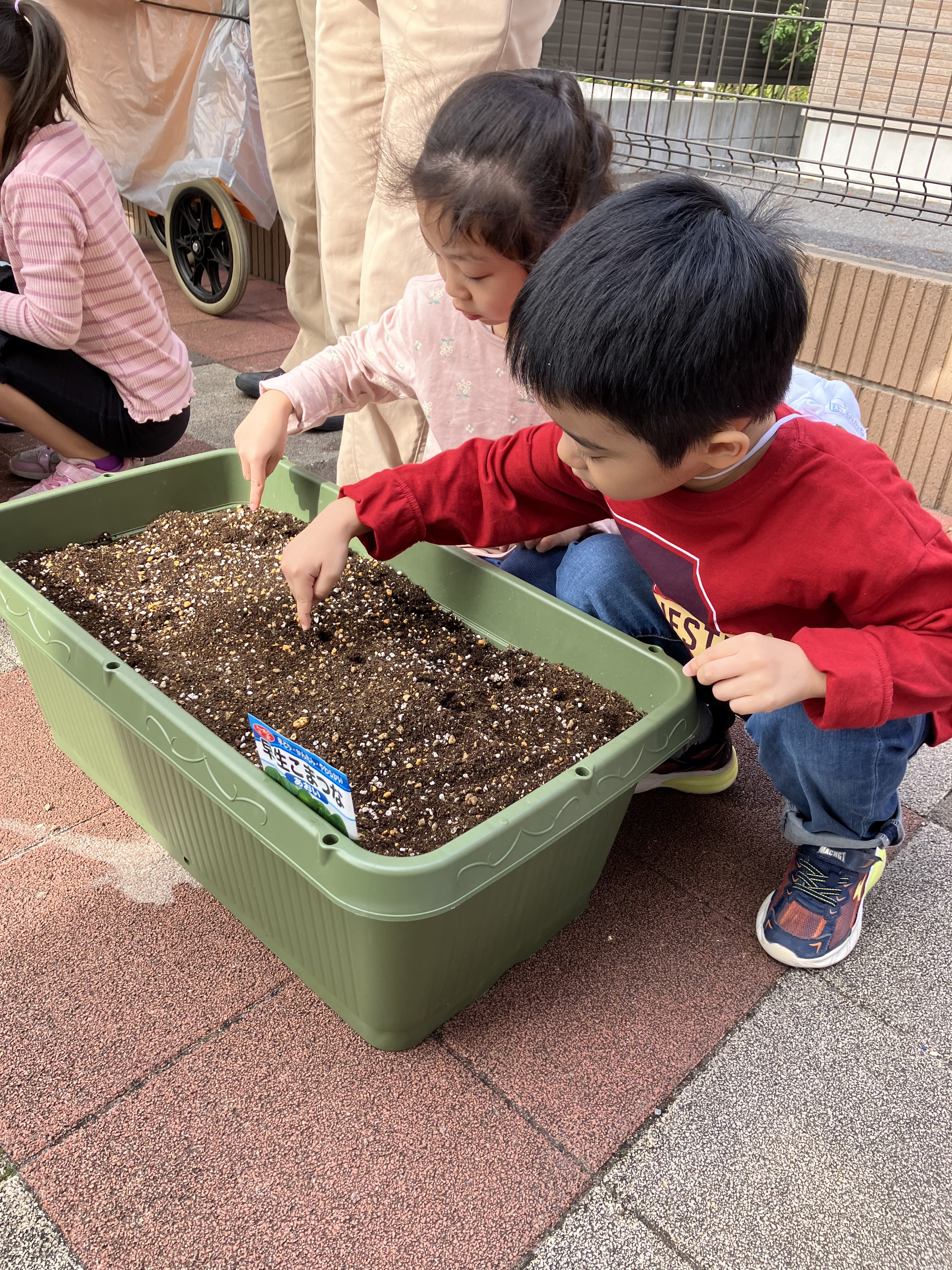 幼児クラス秋冬の栽培開始！！