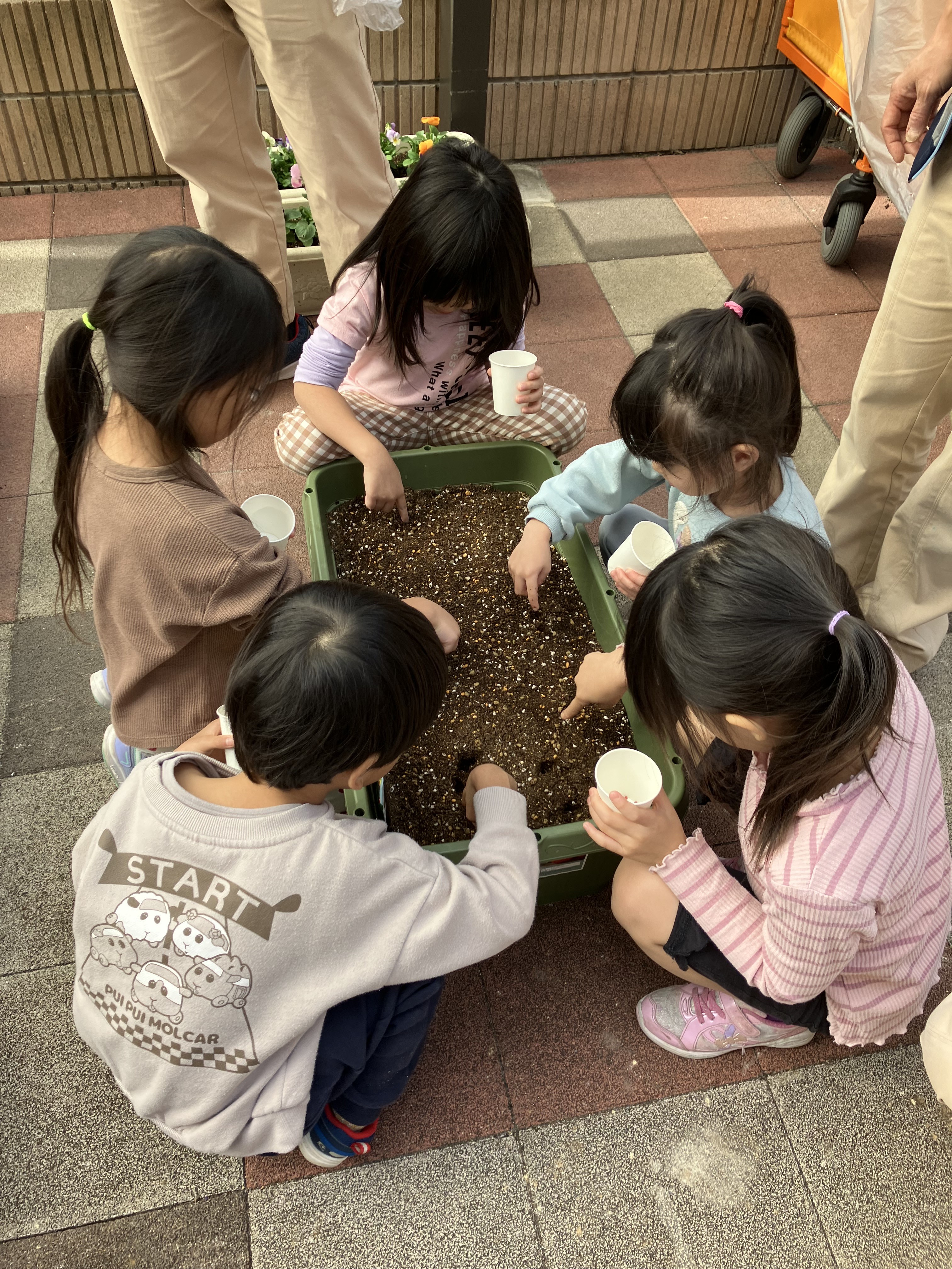 幼児クラス秋冬の栽培開始！！