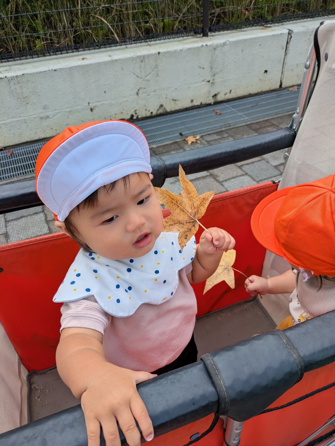 ０歳児　いぶき組　お散歩