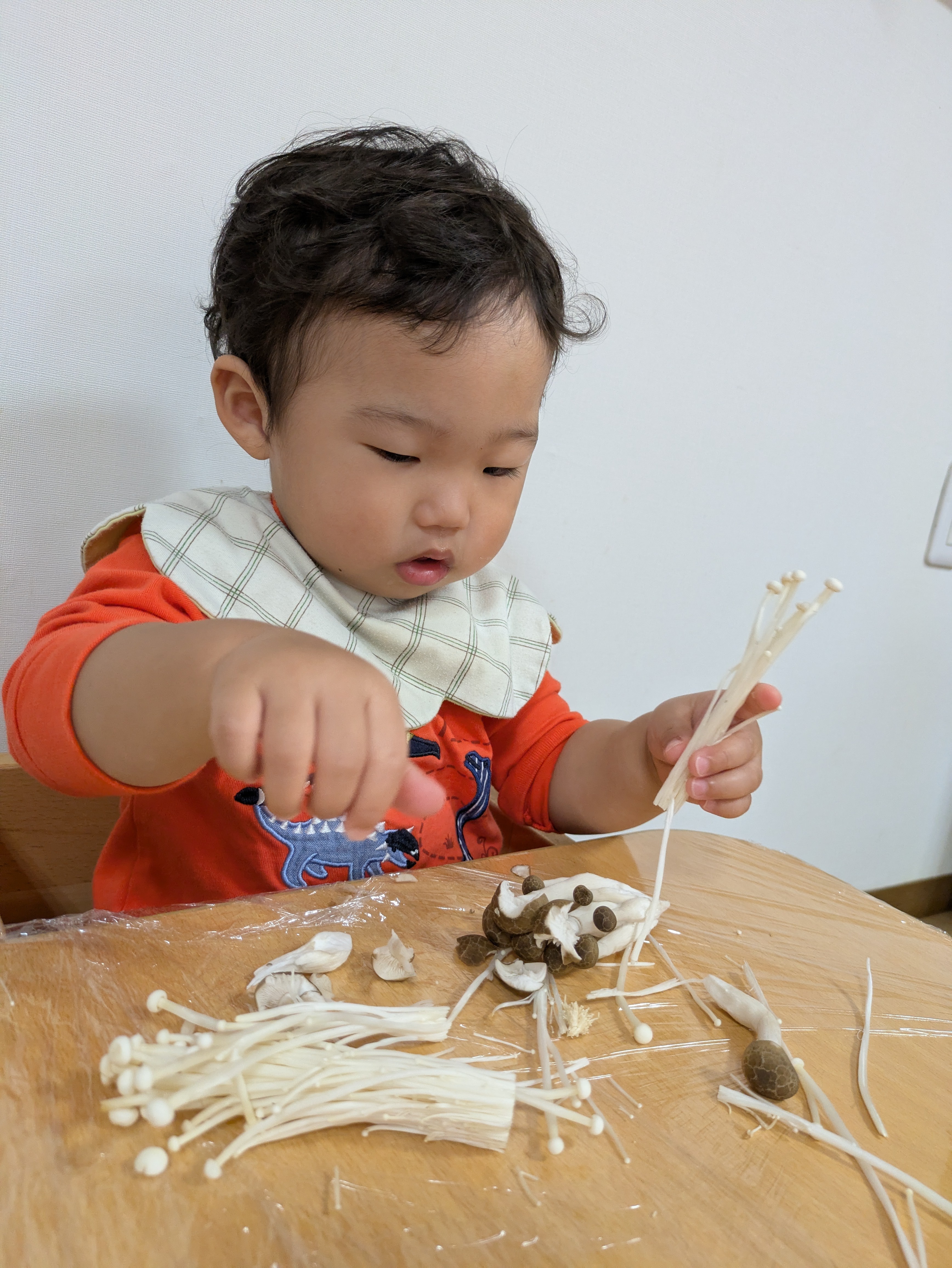 0歳児いぶき組　初めての食育！！（きのこに触れる）