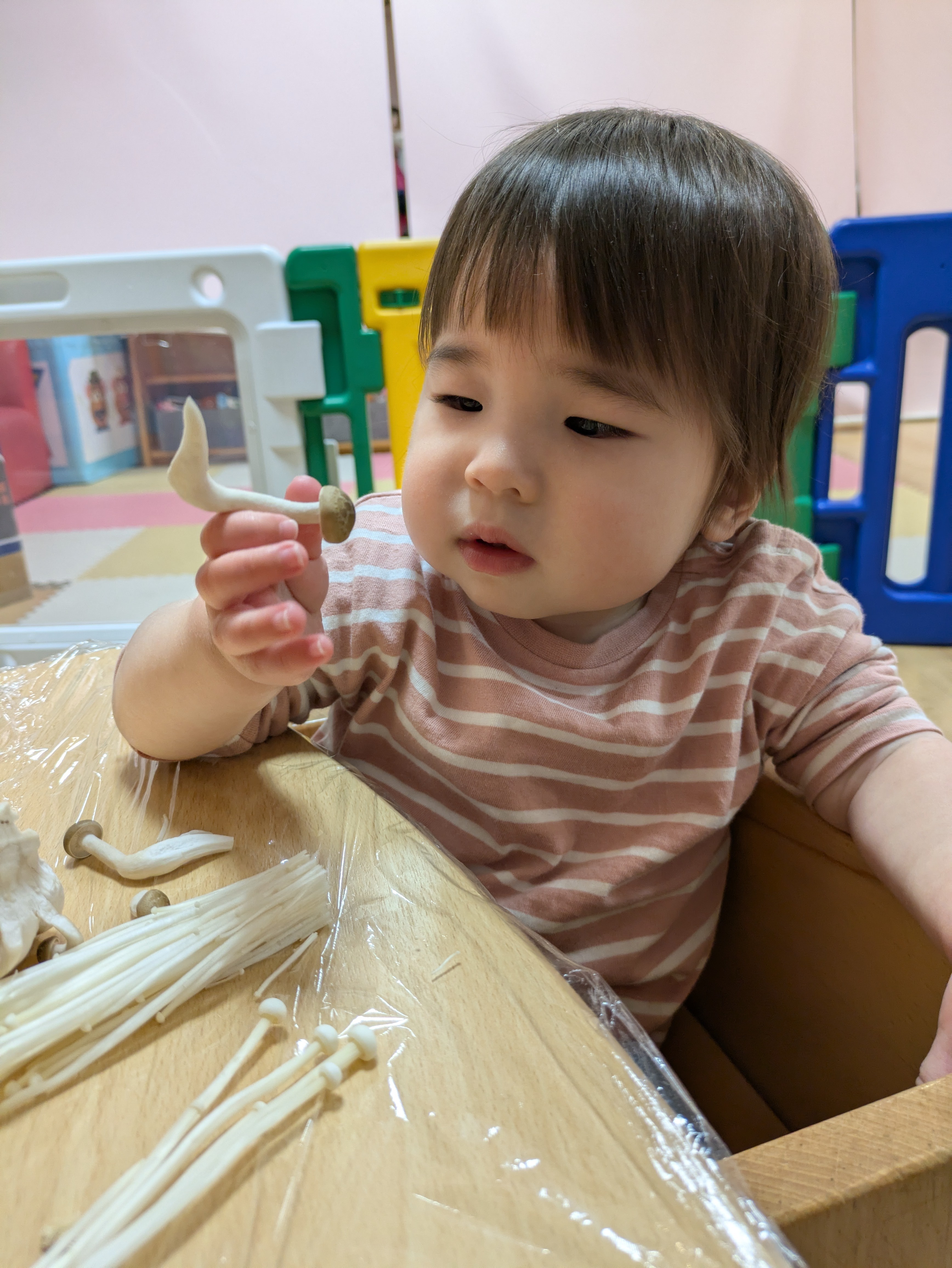 0歳児いぶき組　初めての食育！！（きのこに触れる）