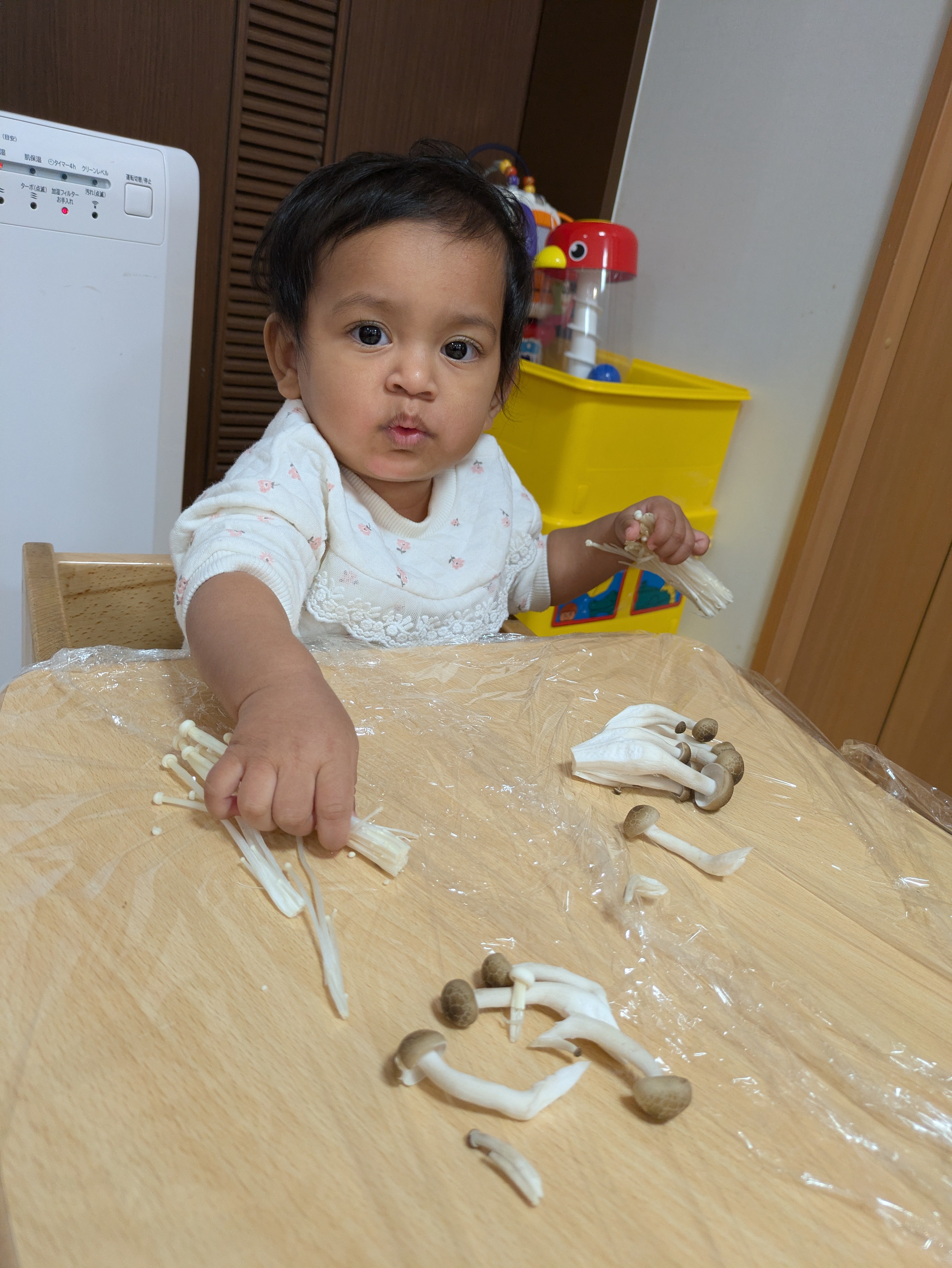 0歳児いぶき組　初めての食育！！（きのこに触れる）