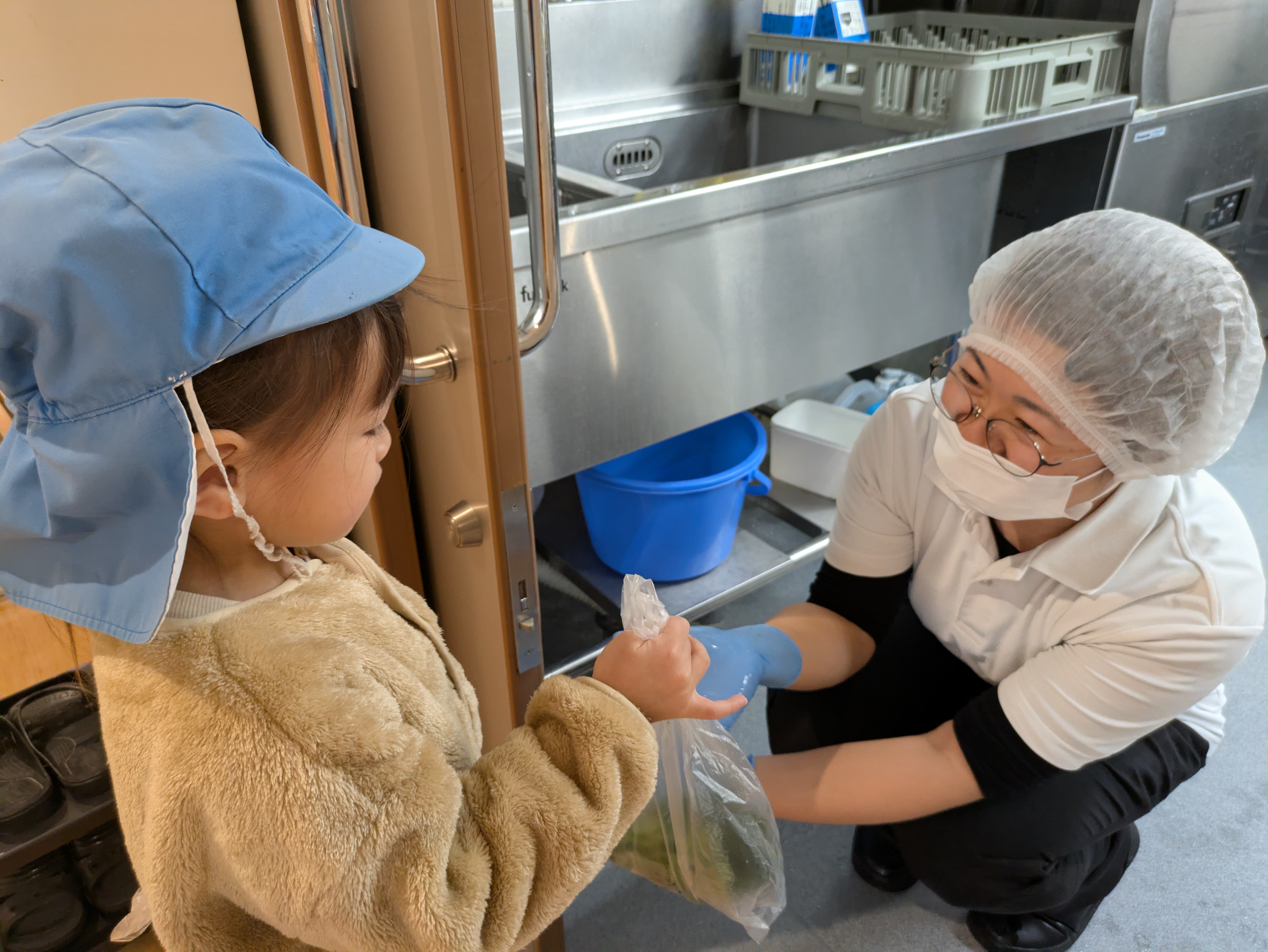 幼児クラス　ほうれん草収穫！！