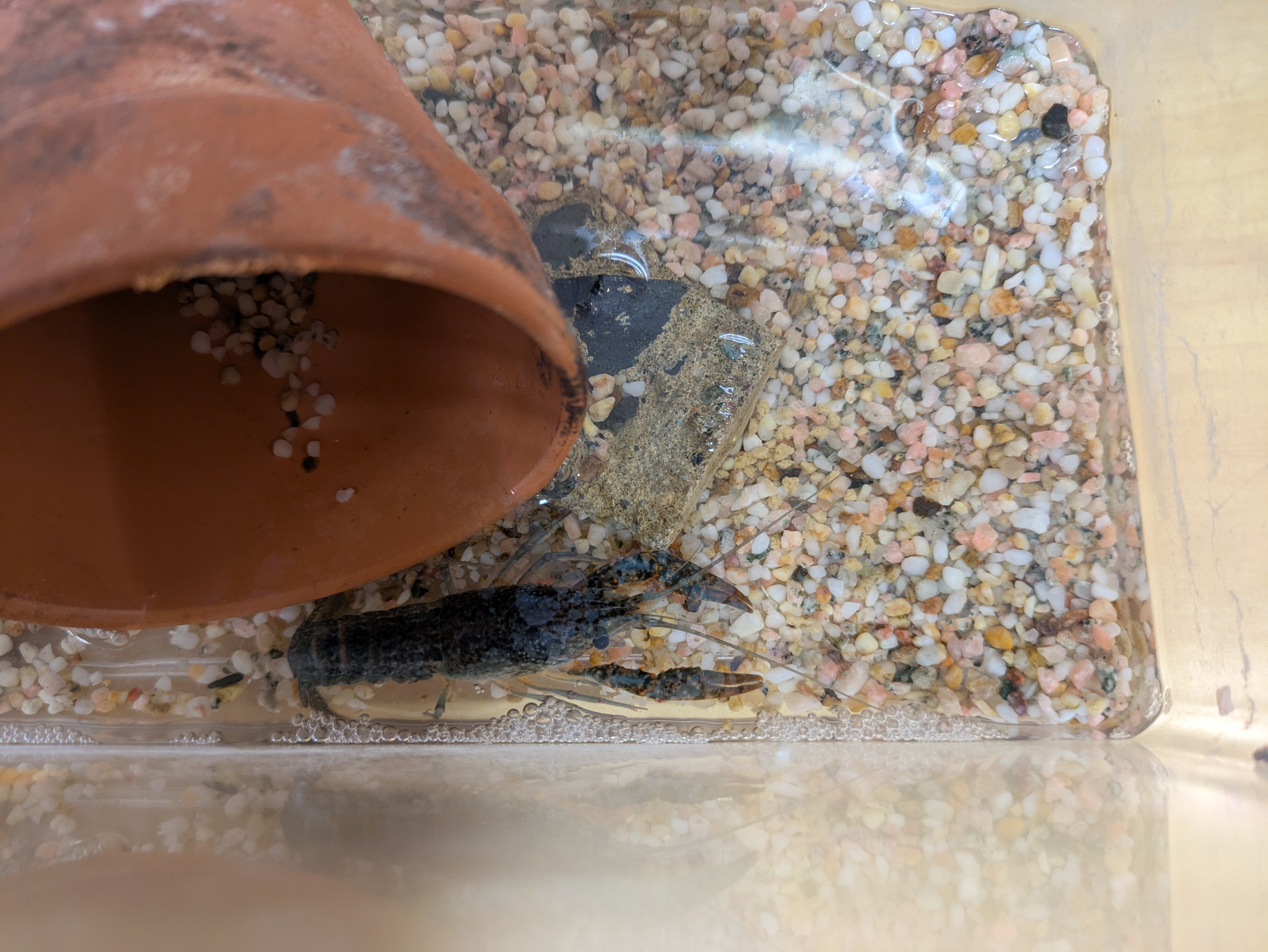 さよなら、ありがとう！