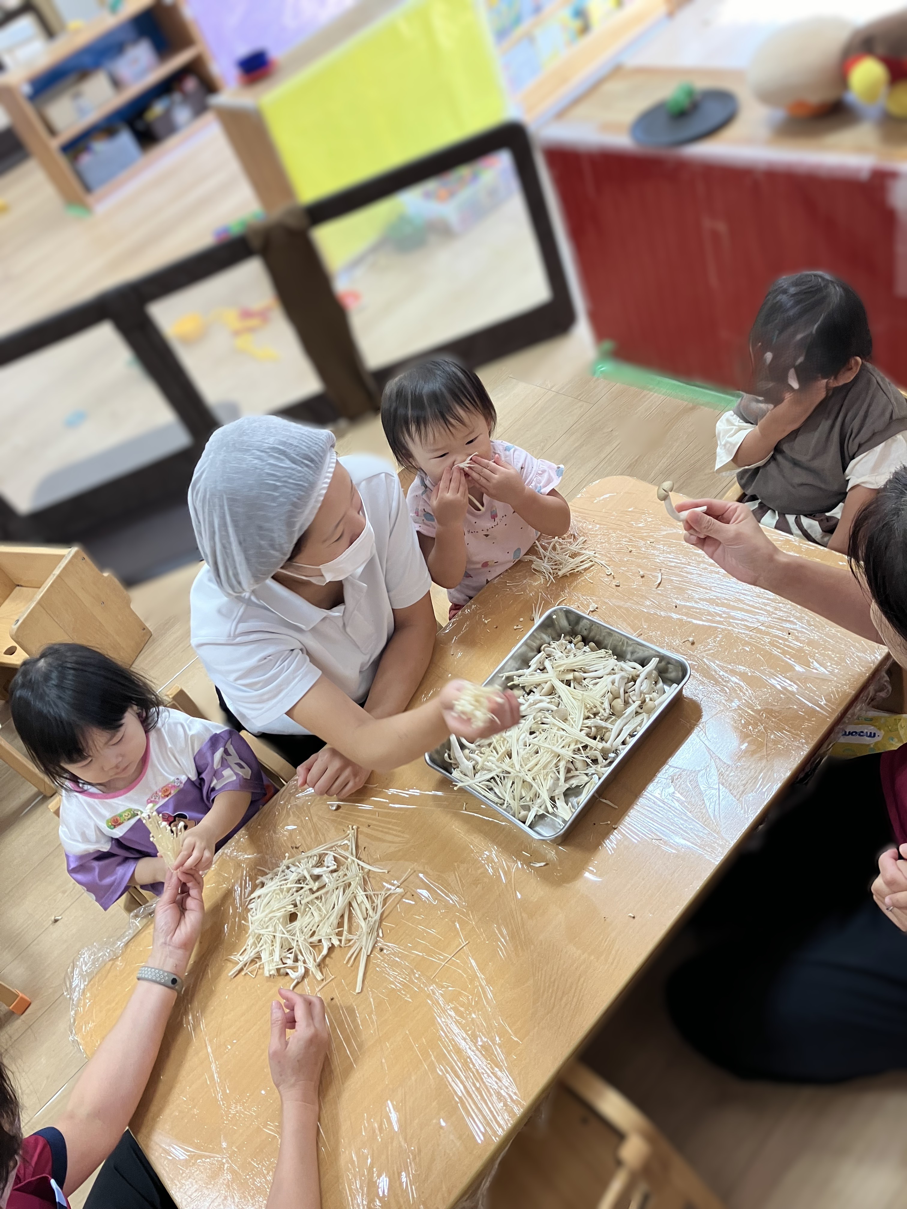 食育「きのこ割き」1歳児　わかば組