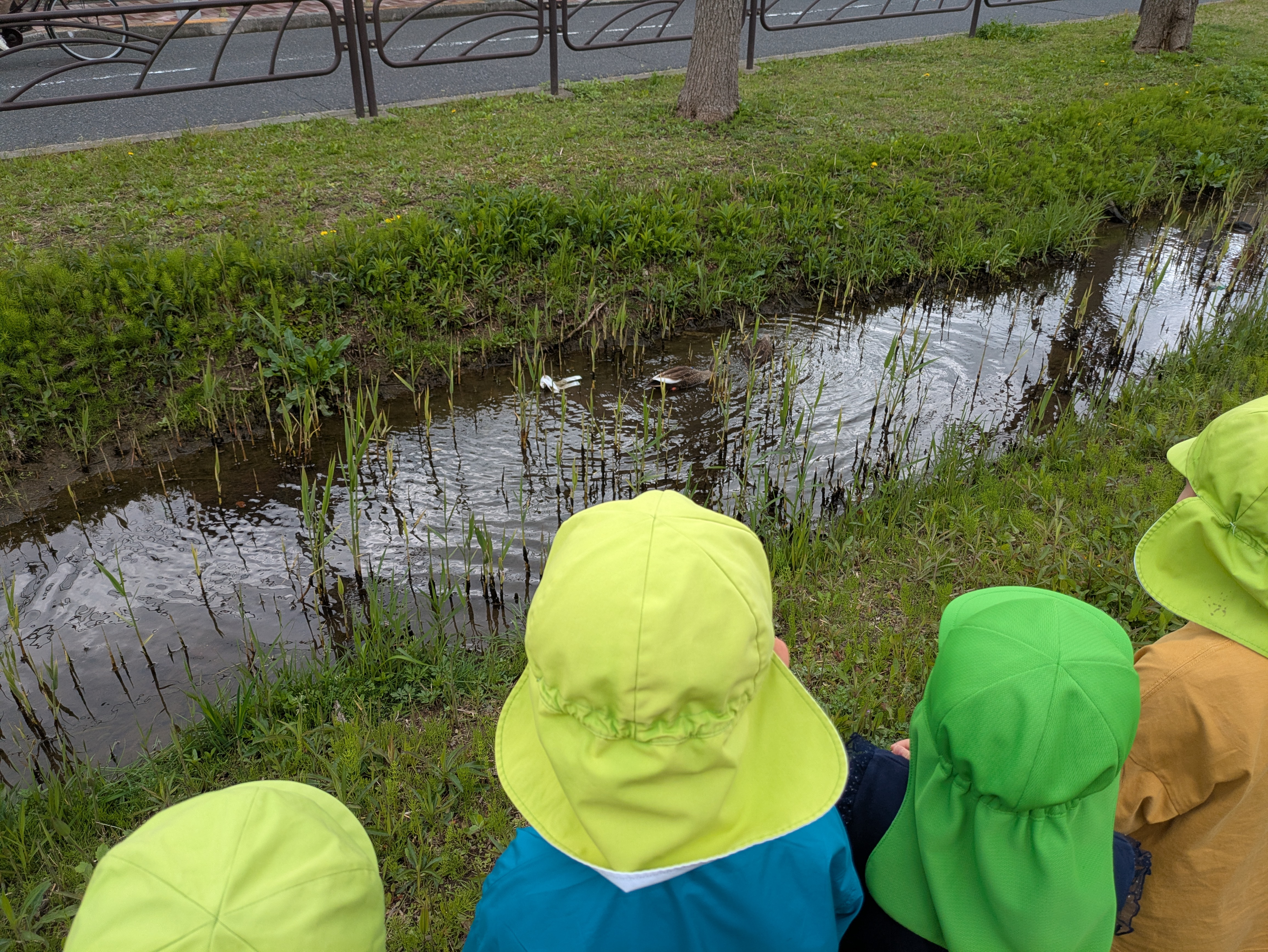 春が来たよ！だいち組になったよ！！